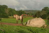 Rumma im Sommer_07